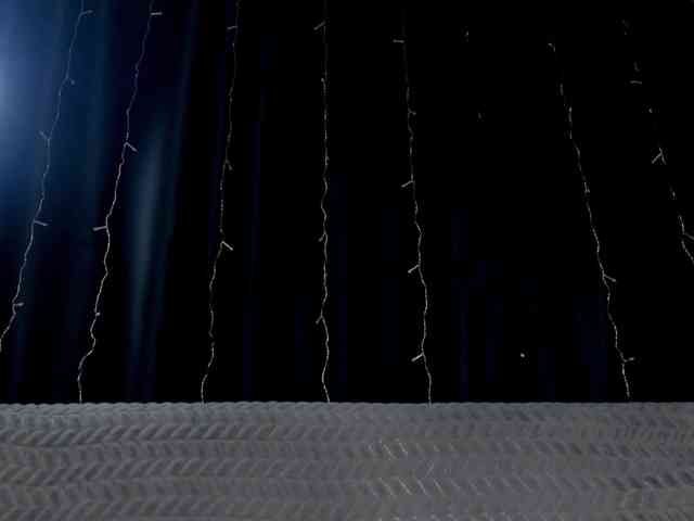 Lex1-Lee webcam
