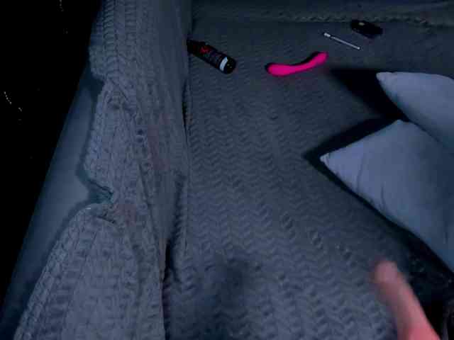 Lex1-Lee webcam