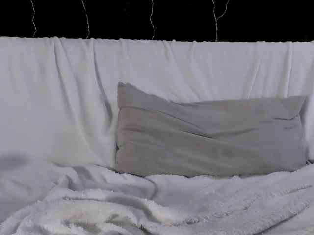Lex1-Lee webcam