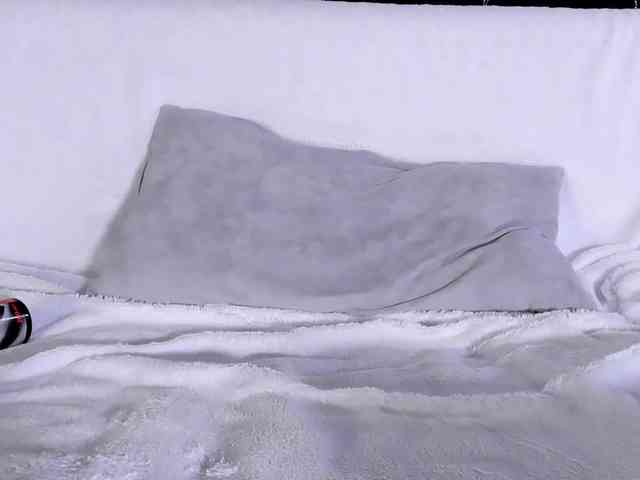 Lex1-Lee webcam