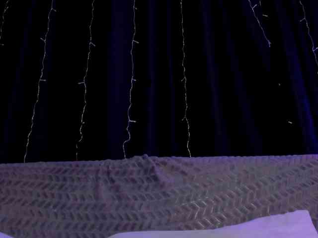 Lex1-Lee webcam