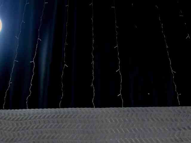 Lex1-Lee webcam