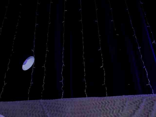 Lex1-Lee webcam