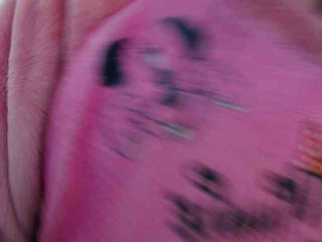 TaylorMegan webcam