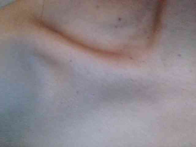 TaylorMegan webcam