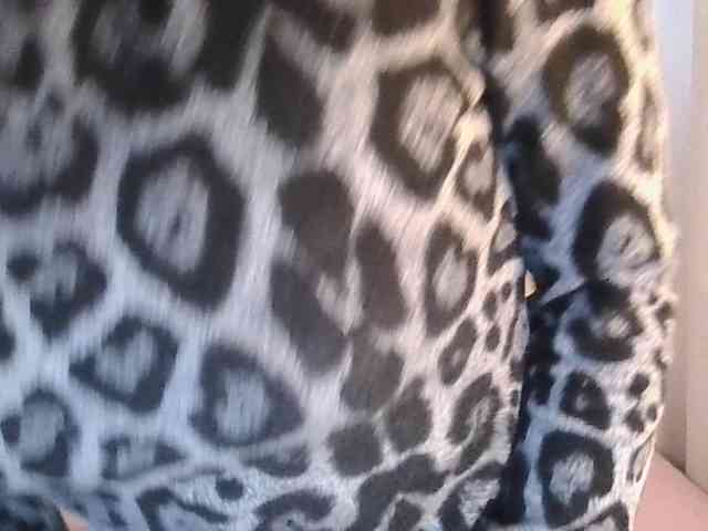 TaylorMegan webcam