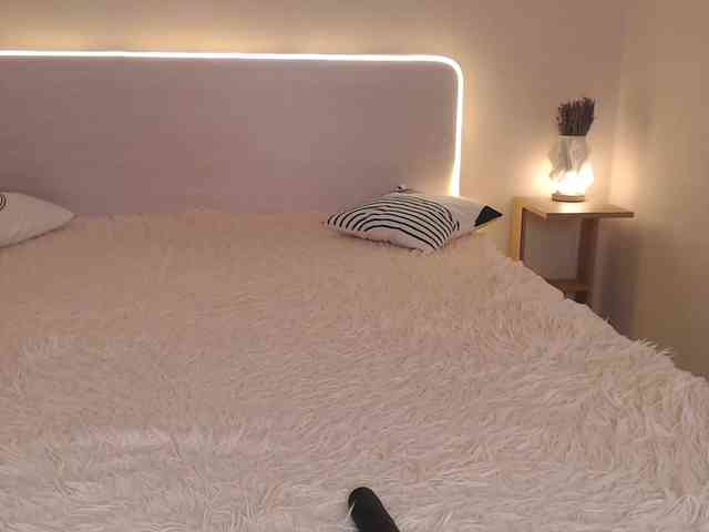 BananaBrain7 webcam