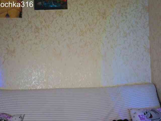 AlexSquirrel webcam