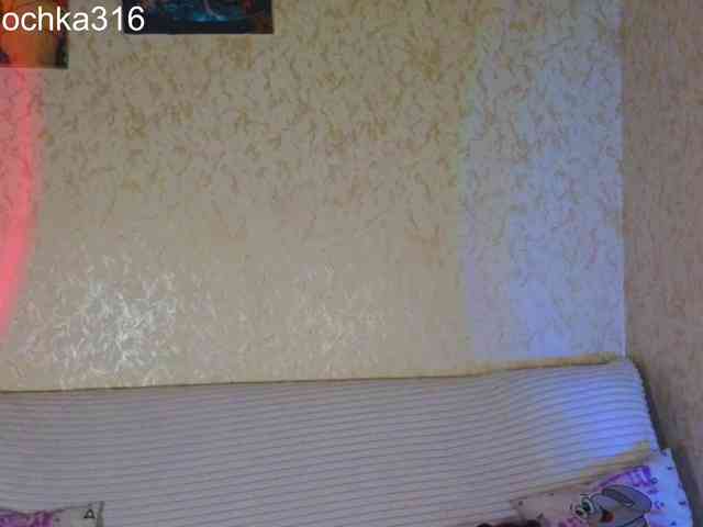 AlexSquirrel webcam