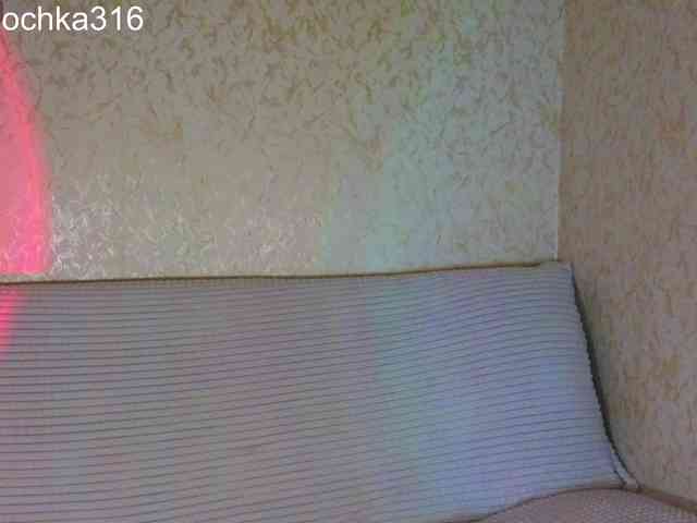 AlexSquirrel webcam