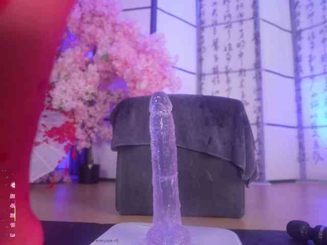 Marry-Cordy webcam