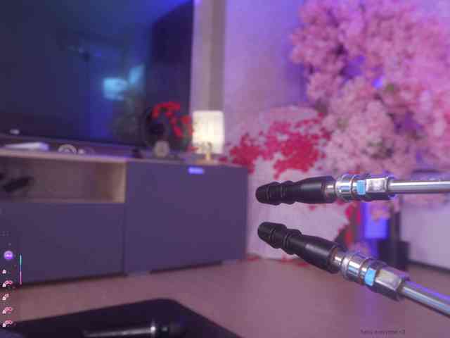 Marry-Cordy webcam
