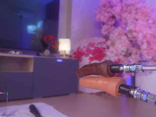 Marry-Cordy webcam