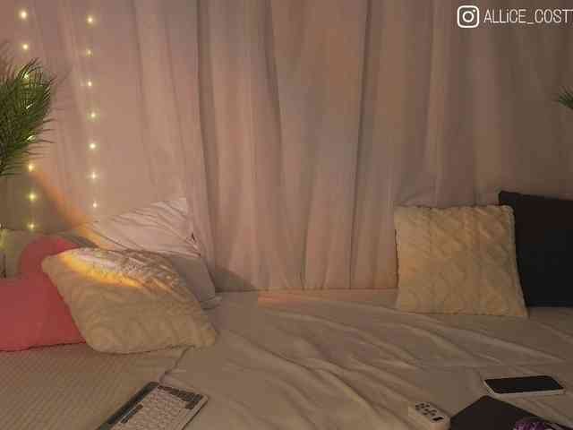 AliceCost webcam
