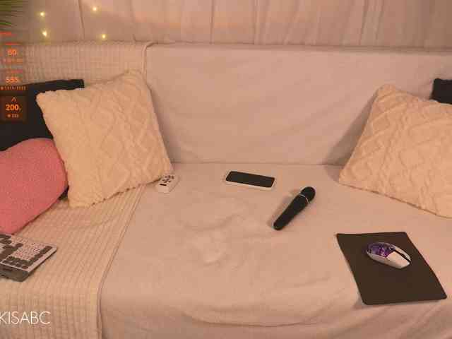 Markiisa webcam