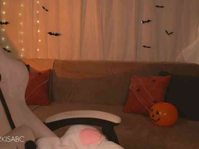 Markiisa webcam