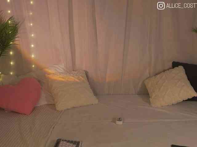 AliceCost webcam