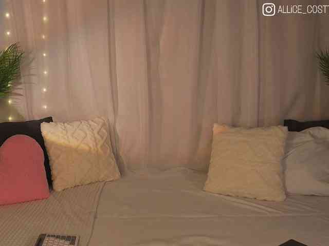 AliceCost webcam