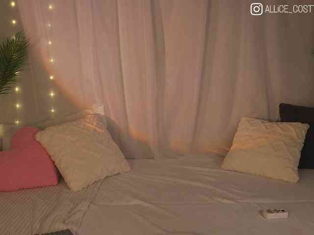 AliceCost webcam