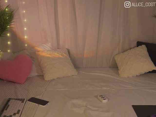 AliceCost webcam