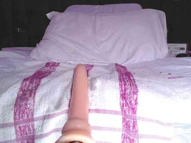 Kate-Roose webcam
