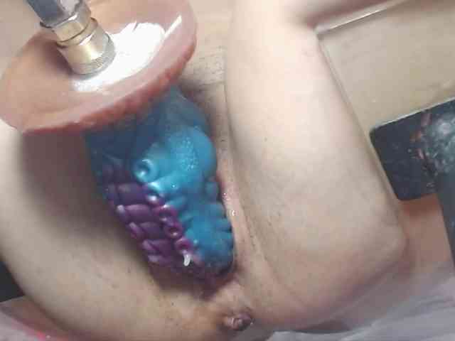 Modelo: Kate-Roose