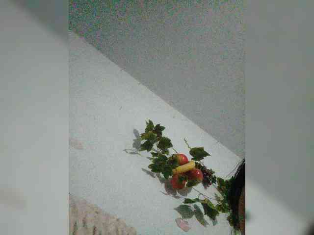 ZaraZaZa- webcam