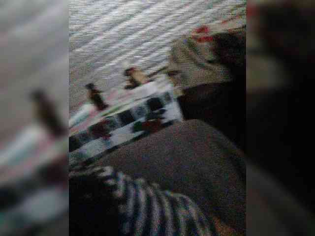 ZaraZaZa- webcam