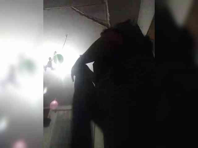 ZaraZaZa- webcam