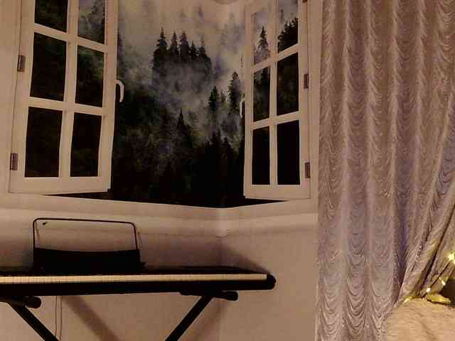Serseia webcam