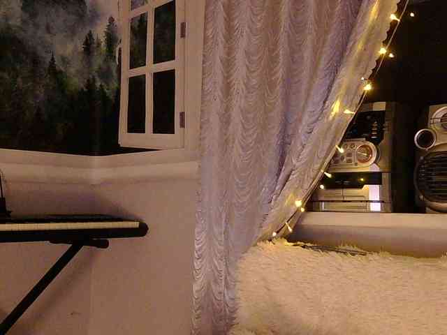 Serseia webcam