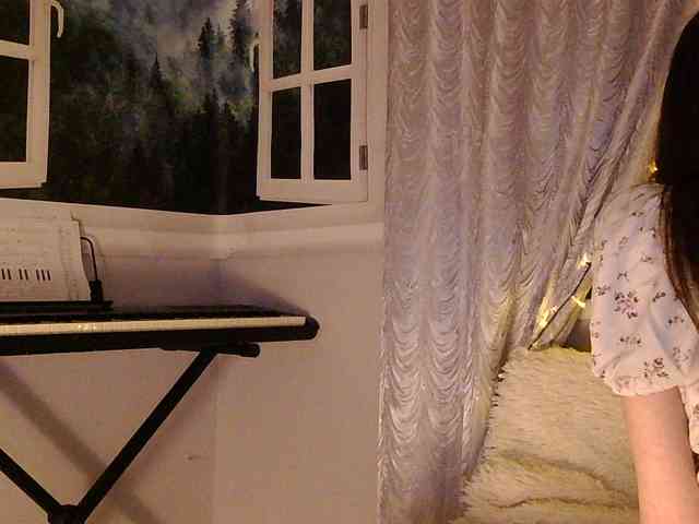 Serseia webcam