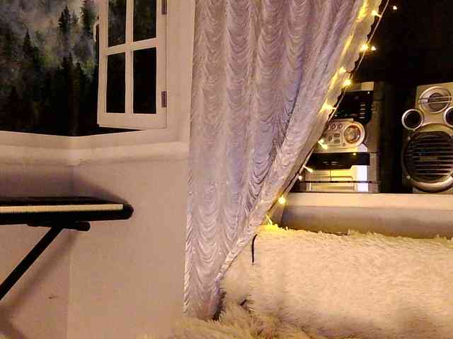 Serseia webcam