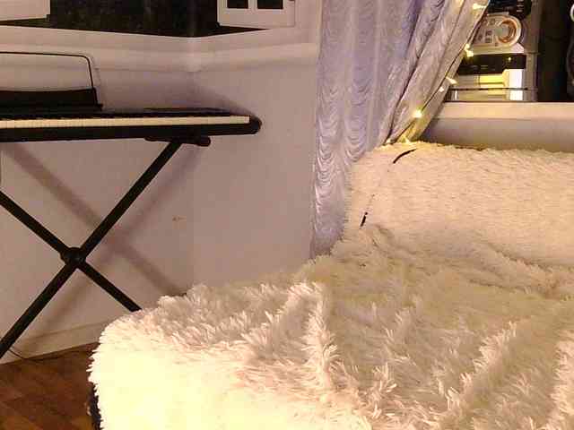 Serseia webcam