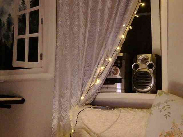 Serseia webcam
