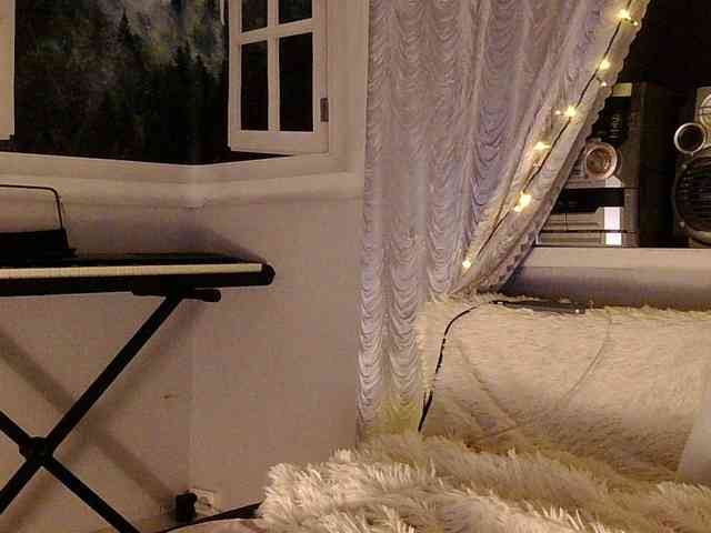 Serseia webcam
