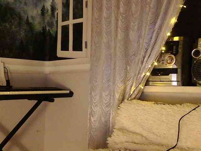Serseia webcam