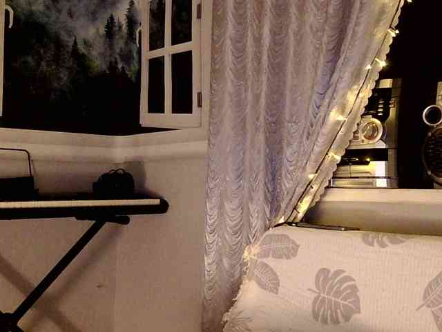 Serseia webcam