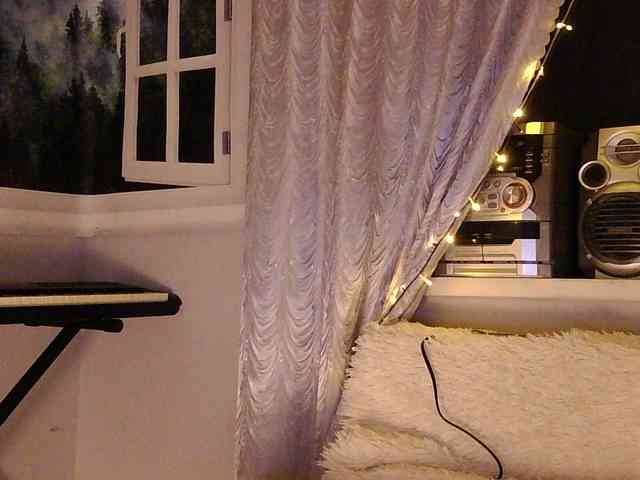 Serseia webcam