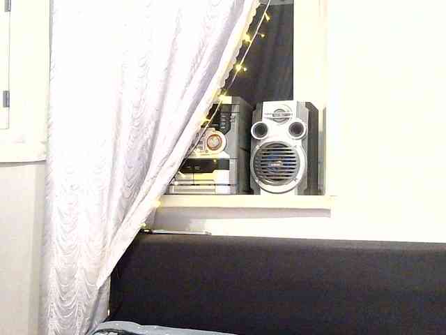 Serseia webcam