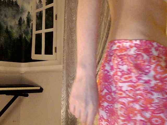 Serseia webcam
