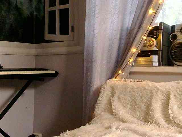 Serseia webcam