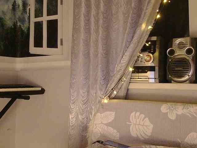 Serseia webcam