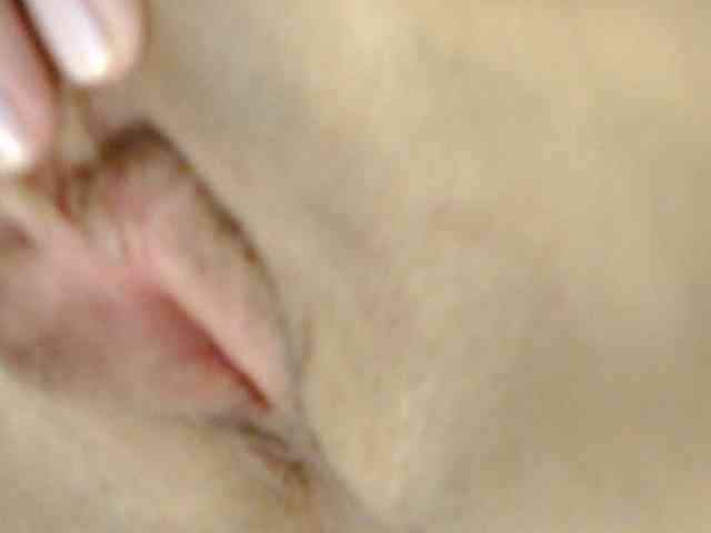 Serseia webcam