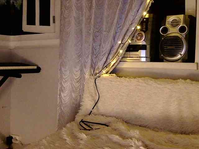 Serseia webcam