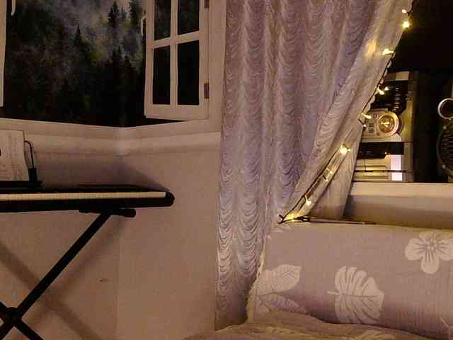 Serseia webcam
