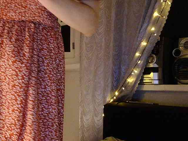Serseia webcam