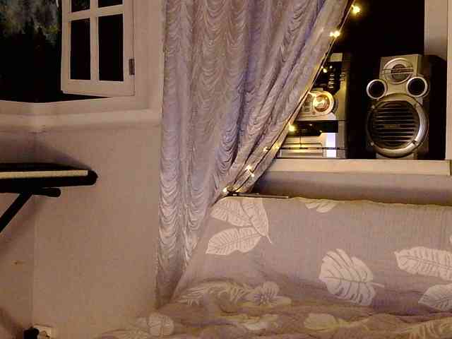 Serseia webcam