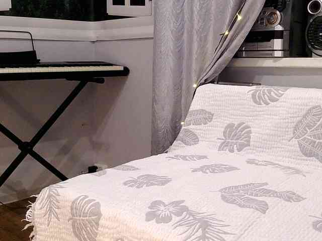 Serseia webcam