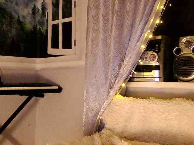 Serseia webcam